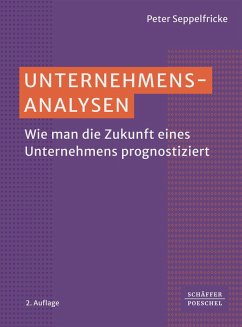 Unternehmensanalysen (eBook, ePUB) - Seppelfricke, Peter