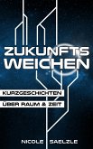 Zukunftsweichen (eBook, ePUB)