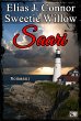 Saari (eBook, ePUB) - Bild 1