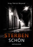 Zum Sterben schön (eBook, ePUB)