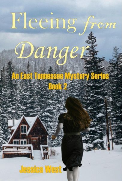 Fleeing from Danger (An East Tennessee Mystery Series, #2) (eBook, ePUB)