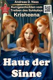 Haus der Sinne (eBook, ePUB)