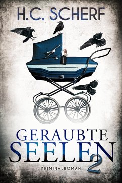 Geraubte Seelen 2 (eBook, ePUB) - Scherf, H. C.