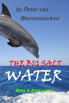 Cover The Big Salt Water (Mike & Alex, #3) (eBook, ePUB)
