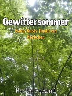 Cover Gewittersommer (eBook, ePUB)