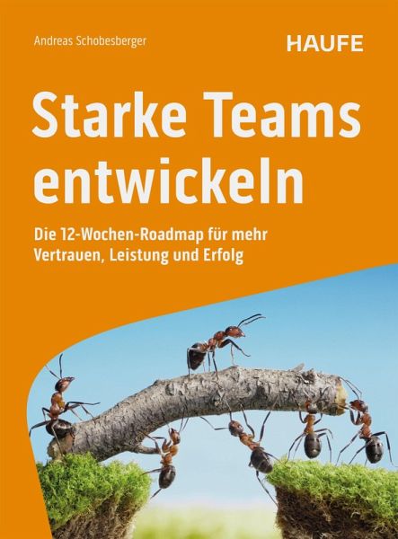 Starke Teams entwickeln (eBook, PDF)