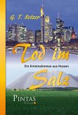 Tod im Salz (eBook, ePUB)