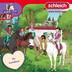 Folge 30: Die Ausreißerin (MP3-Download)