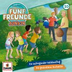 Fünf Freunde JUNIOR - Ein aufregender Waldausflug / Die gestohlene Buchseite Fünf Freunde JUNIOR - Ein aufregender Waldausflug / Die gestohlene Buchseite