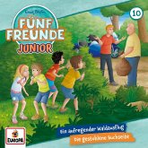 Fünf Freunde JUNIOR - Ein aufregender Waldausflug / Die gestohlene Buchseite Fünf Freunde JUNIOR - Ein aufregender Waldausflug / Die gestohlene Buchseite