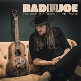 The Acoustic Blues Guitar Revue