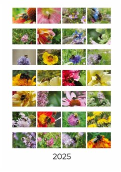 Cover Bienen und Hummeln