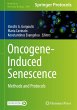Oncogene-Induced Senescence - Bild 1