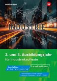 Industrie. 2. und 3. Ausbildungsjahr Lernsituationen