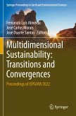 Multidimensional Sustainability: Transitions and Convergences Multidimensional Sustainability: Transitions and Convergences