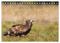 Seeadler in Polen (Tischkalender 2025 DIN A5 quer), CALVENDO Monatskalender