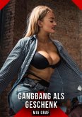 Gangbang als Geschenk (eBook, ePUB)