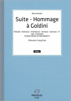 Barna Kovats Studio-Reihe Zither 13 Zither Barna Kovats Studio-Reihe Zither 13 Zither