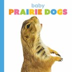 Baby Prairie Dogs Baby Prairie Dogs