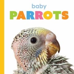 Cover Baby Parrots