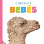 Camellos Bebés