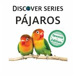 Pájaros Pájaros