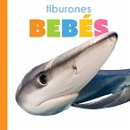 Tiburones Bebés Tiburones Bebés