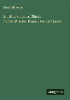 Cover Ein Stiefkind des Glücks humoristischer Roman aus dem Leben