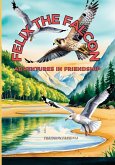 Felix The Falcon
