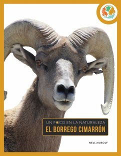 Cover El Borrego Cimarrón