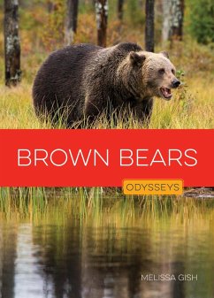 Cover Brown Bears