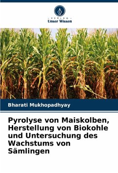 Cover Pyrolyse von Maiskolben, Herstellung von Biokohle und Untersuchung des Wachstums von Sämlingen