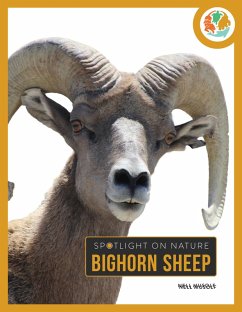 Cover Bighorn Sheep