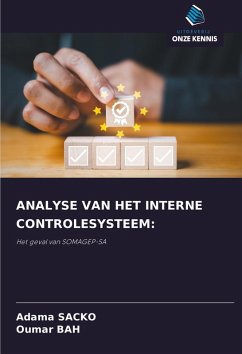 Cover ANALYSE VAN HET INTERNE CONTROLESYSTEEM: