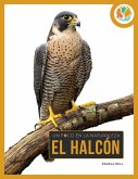 El Halcón