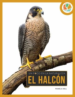 Cover El Halcón