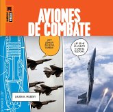 Aviones de Combate Aviones de Combate