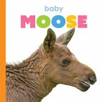 Baby Moose Baby Moose