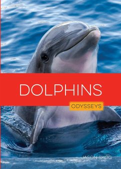 Dolphins Cover Dolphins