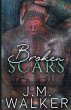 Broken Scars - Bild 1