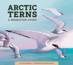 Arctic Terns - Amstutz, Lisa
