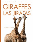 Giraffes / Las Jirafas
