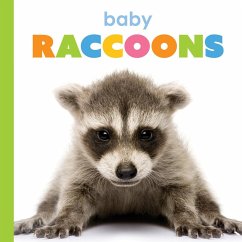 Cover Baby Raccoons