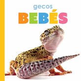 Gecos Bebés Gecos Bebés