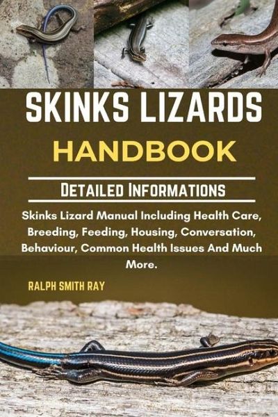 Skinks Lizards Handbook