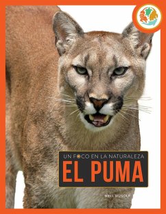 Cover El Puma
