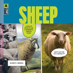 Cover Sheep