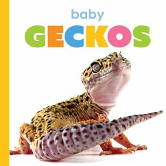 Cover Baby Geckos