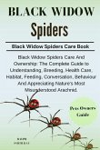 Black Widow Spiders Black Widow Spiders