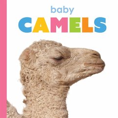 Cover Baby Camels